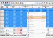 Copia manual de los esfuerzos internos desde RSTAB/RFEM