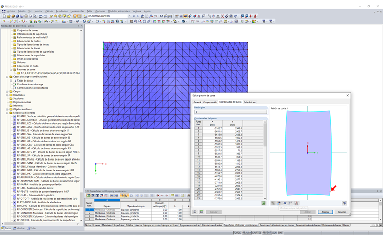 Visualización de patrones de corte en el modelo de RFEM