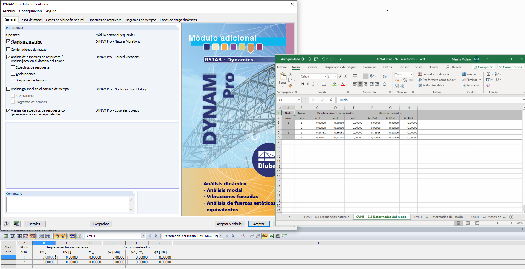 Exportación de resultados desde DYNAM Pro a través de la interfaz COM