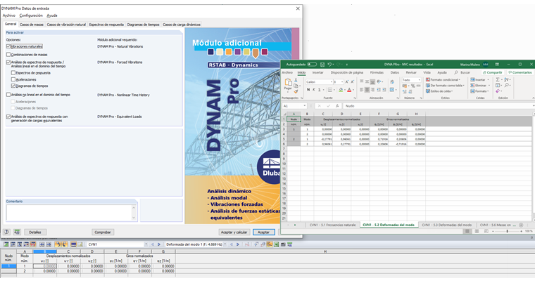 Exportación de resultados desde DYNAM Pro a través de la interfaz COM