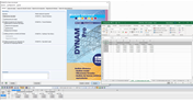 Exportación de resultados desde DYNAM Pro a través de la interfaz COM