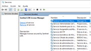 Detener y reiniciar Service Sentinel LDK License Manager