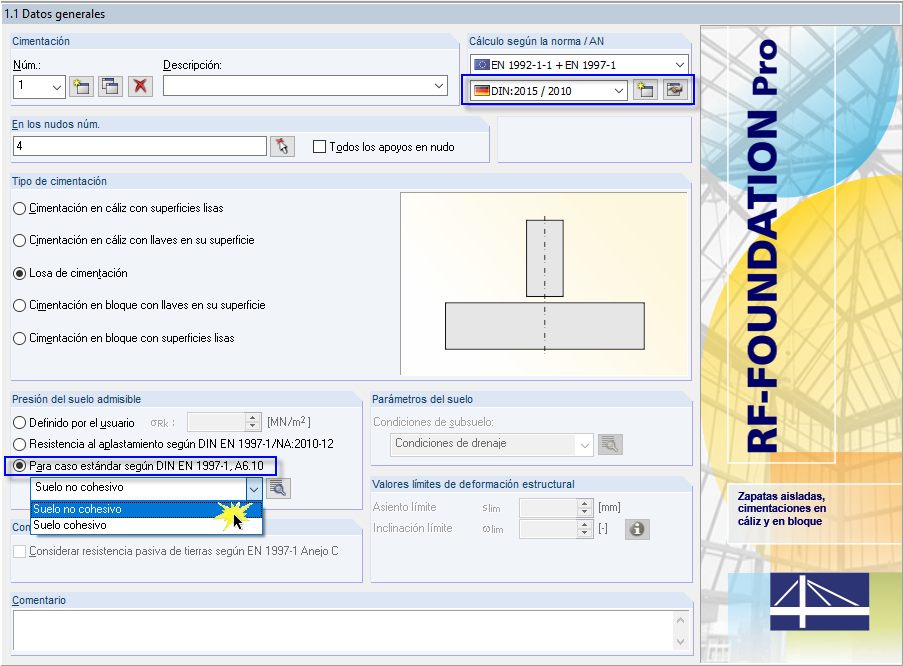 Ventana 1.1 - Datos generales en RF-/FOUNDATION Pro