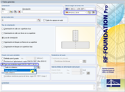 Ventana 1.1 - Datos generales en RF-/FOUNDATION Pro
