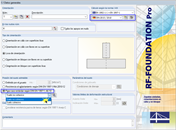 Ventana 1.1 - Datos generales en RF-/FOUNDATION Pro