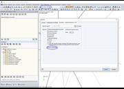 Exportación en el caso de carga "Form-Finding"