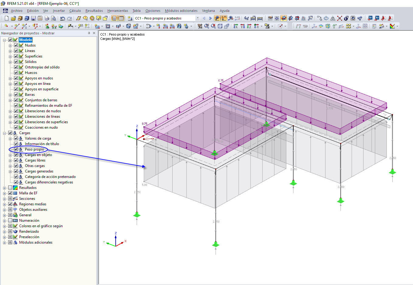 Activación de la comprobación gráfica del peso propio