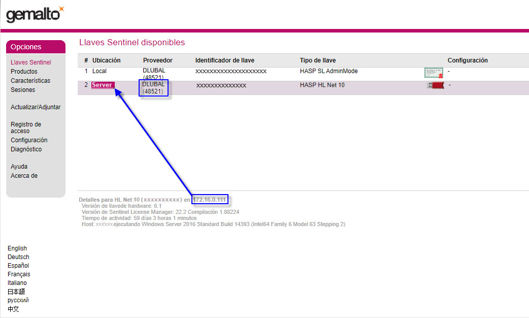 Visualización de la IP del servidor