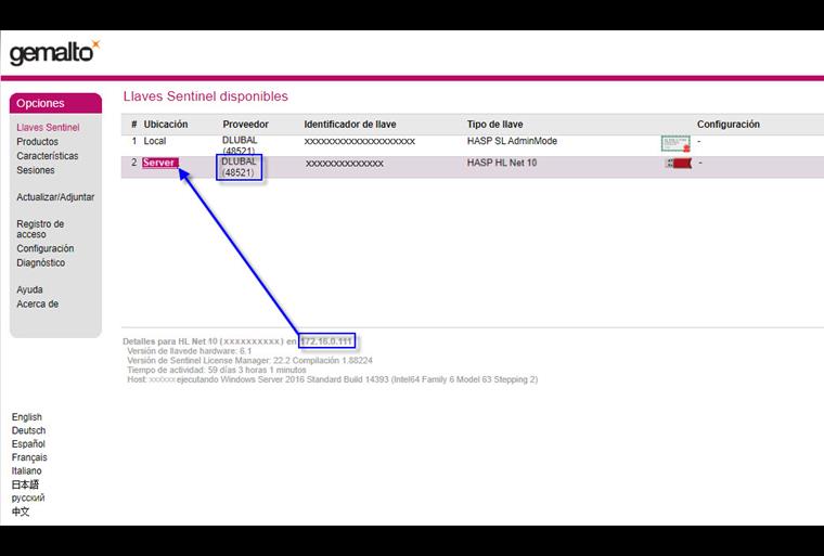 Visualización de la IP del servidor