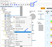 Botón 'Editar informe' y menú contextual