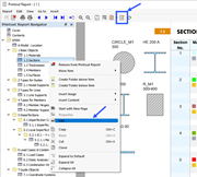 Botón 'Editar informe' y menú contextual
