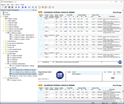 Informe con capítulos adicionales