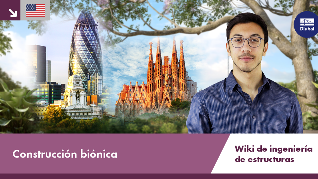 Estructura inspirada en la biología que utiliza formas innovadoras para una distribución eficiente de las cargas. El diseño estructural favorece la optimización de la estructura.