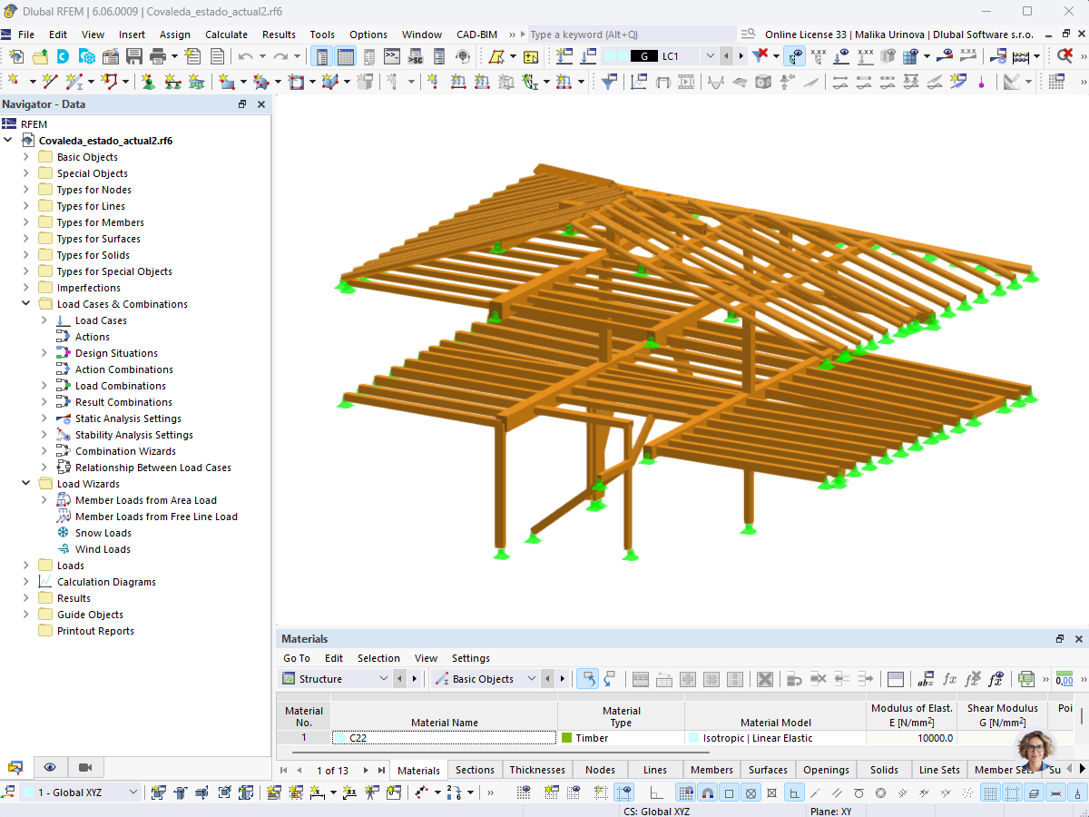 Modelo de la estructura de madera existente © Xavier Bueno Llasat