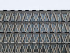 Fachada con pilares en forma de V | © merz kley partner GmbH