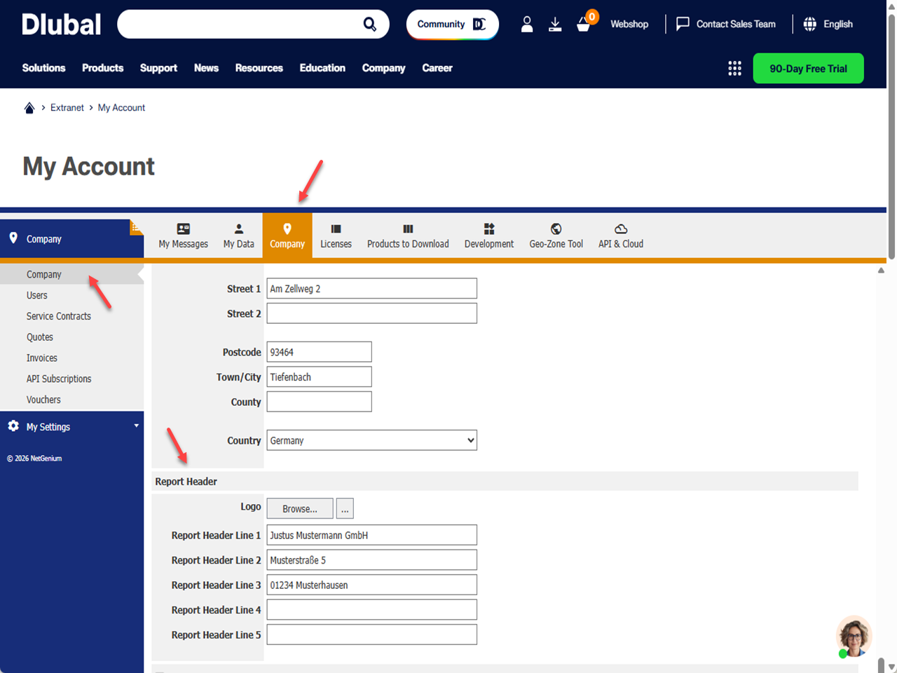 Pantalla de configuración para la adaptación del perfil de la empresa y el diseño en la Cuenta de Dlubal.