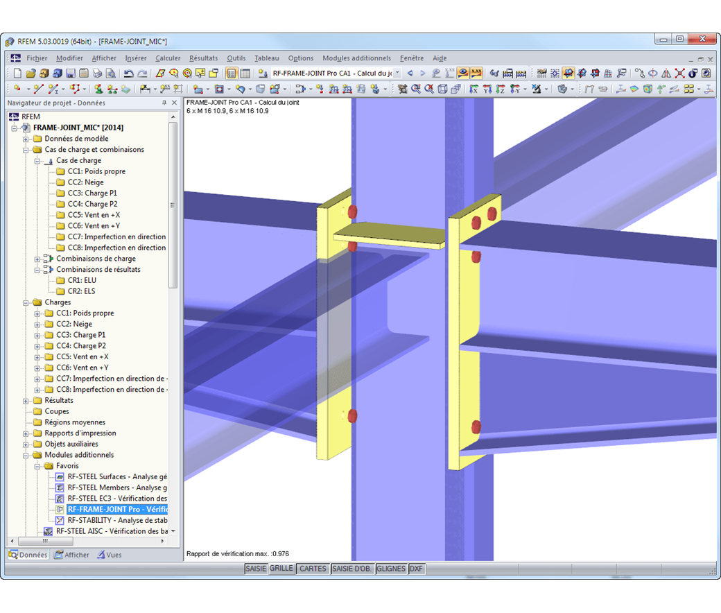 Connexion dans modèle de RFEM