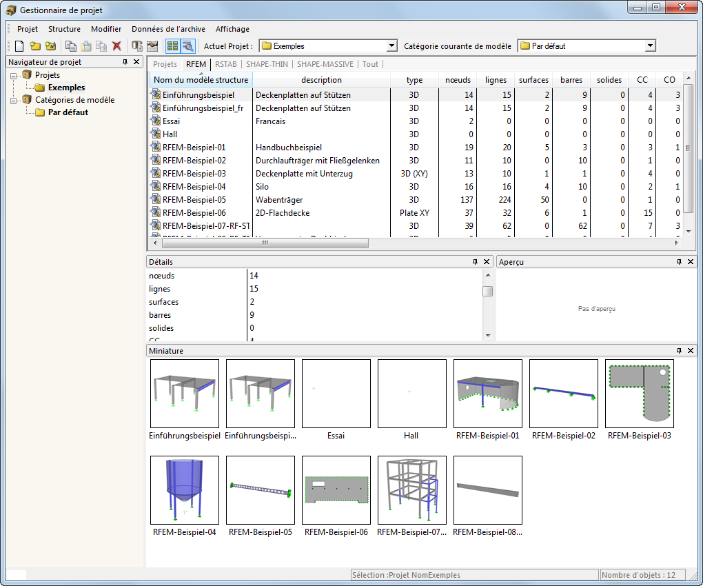 Konzept des Projektmanagers