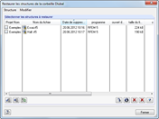 Wiederherstellen aus dem Dlubal-Papierkorb