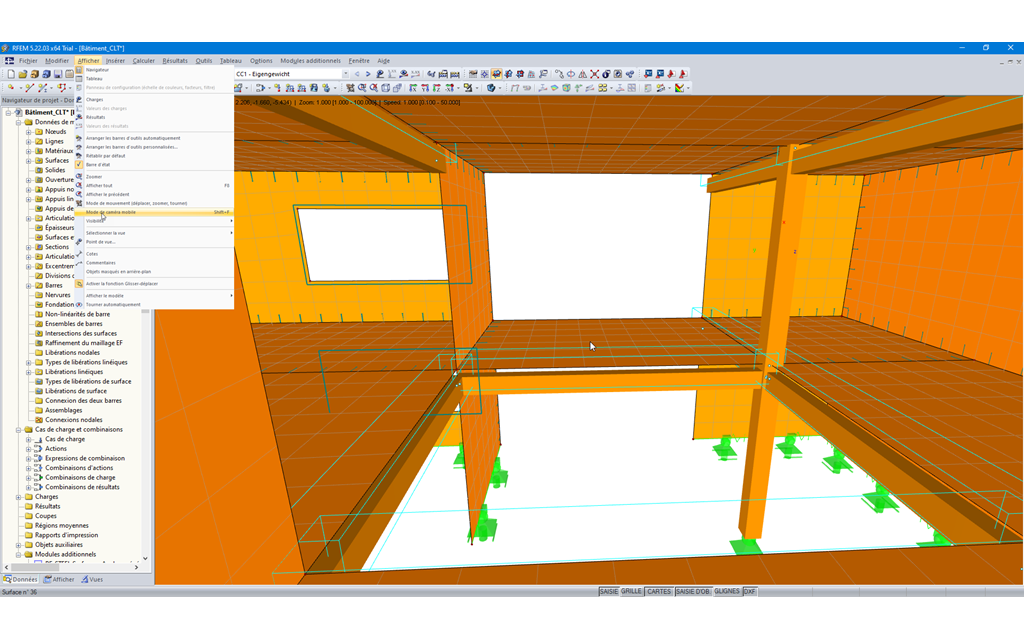 Activation du mode Caméra mobile dans RFEM
