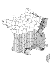 Zones de neige en France métropolitaine