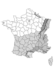 Zones de neige en France métropolitaine