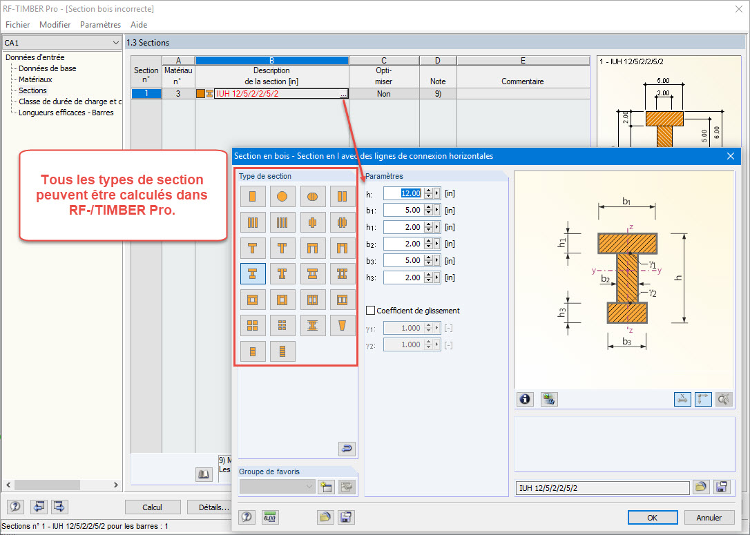 Options de calcul de section dans RF-/TIMBER Pro