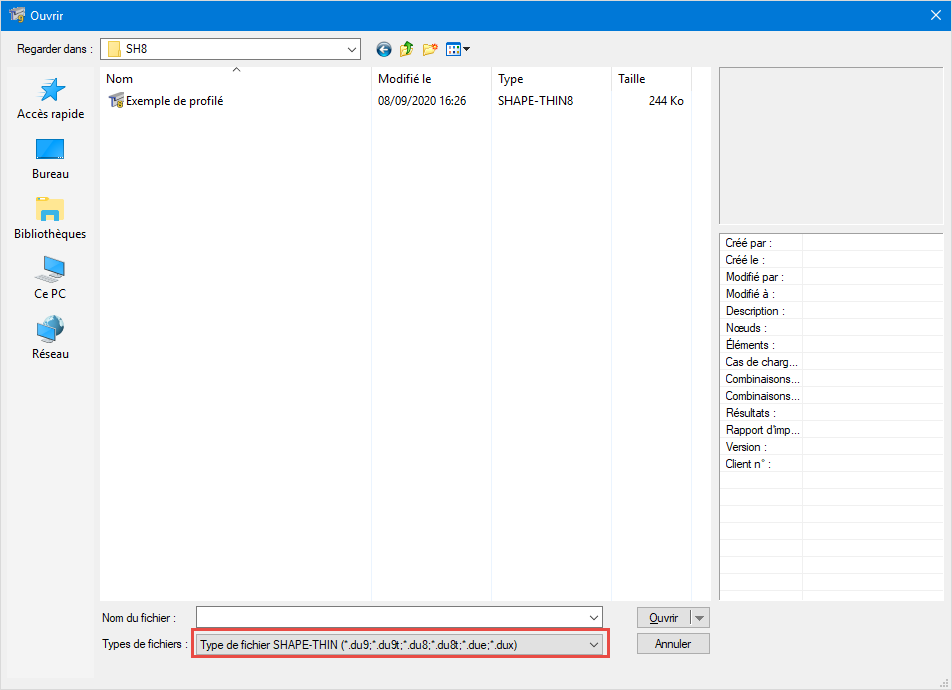 RFEM 5.21 : seul le format *.du8 est pris en charge.
