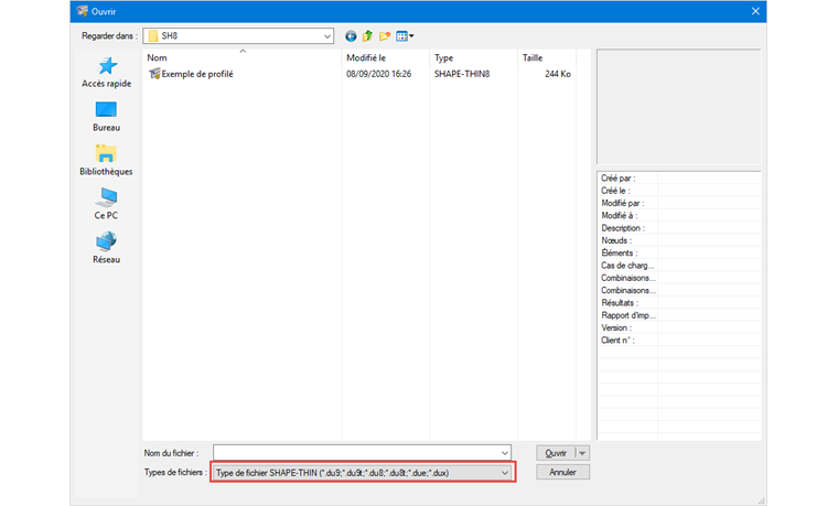 RFEM 5.21 : seul le format *.du8 est pris en charge.