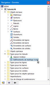 « Raffinements de maillage nodal » dans le navigateur