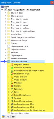 Catégorie « Vérification de l’acier » dans le navigateur Données