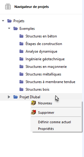 Appel du menu contextuel du projet
