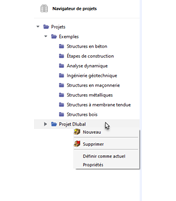 Appel du menu contextuel du projet