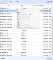Modèles affichés dans une liste avec le menu contextuel du modèle