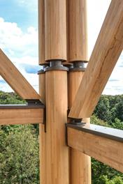 Assemblage (© ingwh/jh)