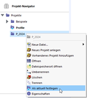 Menu contextuel du projet