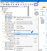 Bouton « Modifier le rapport d’impression » et menu contextuel