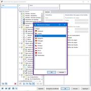 Sélection de la langue du rapport d’impression