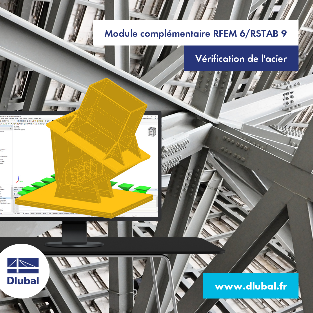 Module complémentaire de RFEM 6/RSTAB 9
