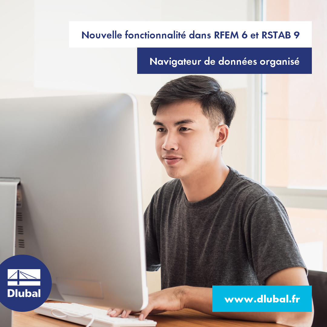 Nouvelle fonctionnalité dans RFEM 6 et RSTAB 9