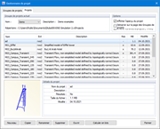 Gestionnaire de projet, Projets