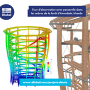 Tour d'observation avec passerelle dans \n les arbres de la forêt d'Avondale, Irlande
