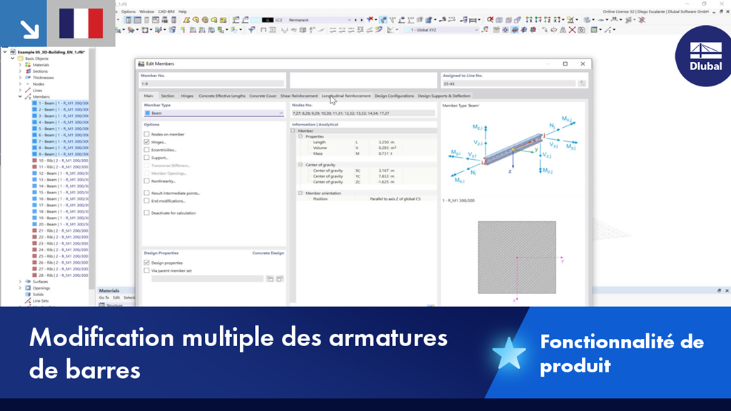 Technische Darstellung zur effizienten Bewehrungsbearbeitung in Baustrukturen speziell für Ingenieure.