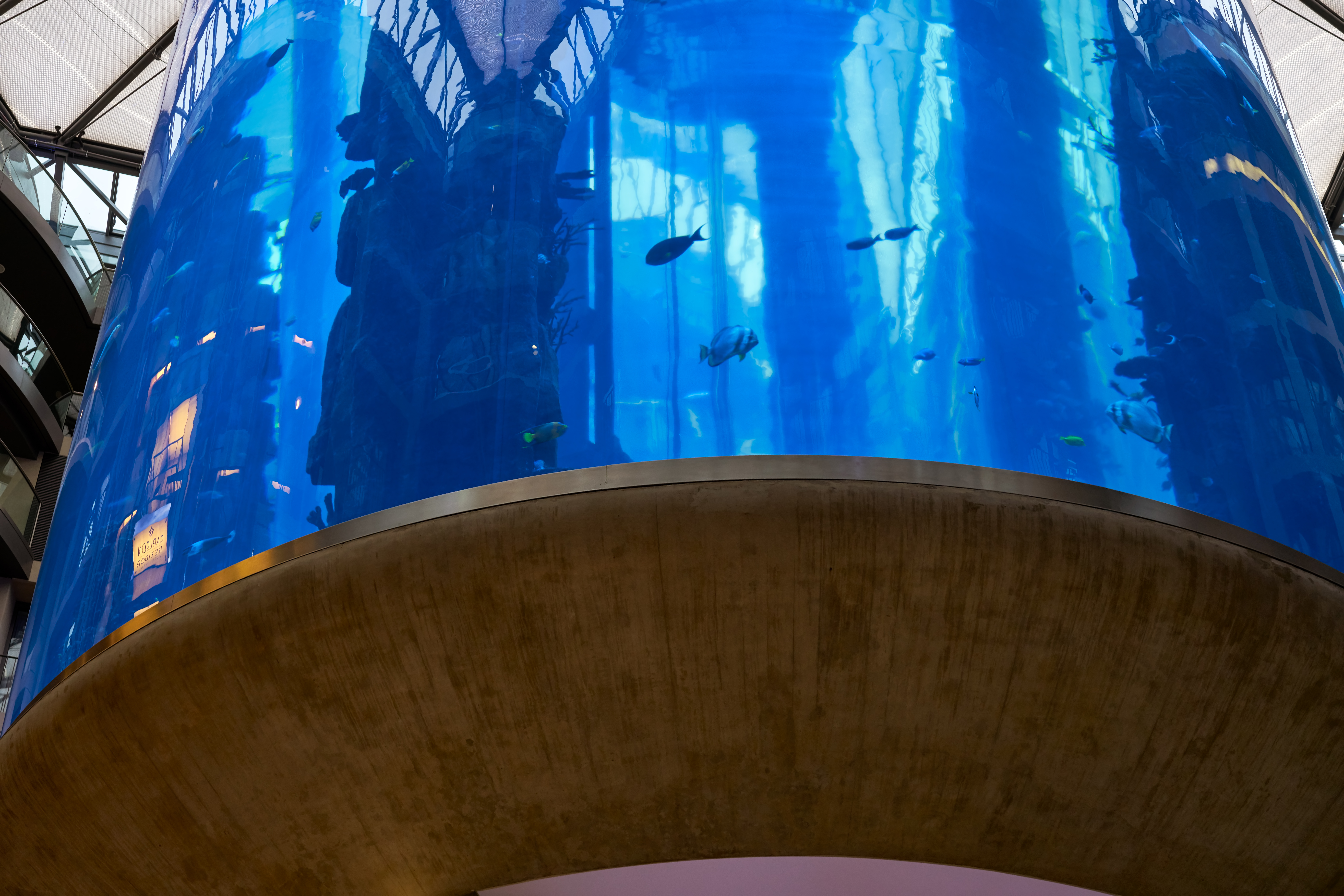 Aquarium cylindrique de Berlin à l’hôtel Radisson Collection, Photo : LuisPinaPhotography / Shutterstock.com