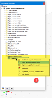 Menu contextuel pour sélectionner des fonctions de rapport, d’impression multiple et de synchronisation d’images dans le Navigateur de données