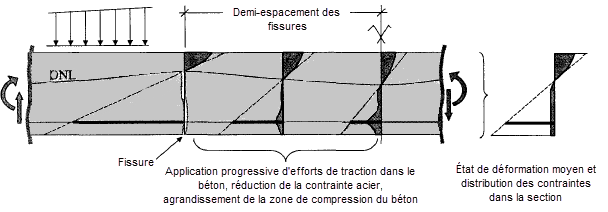 État de contrainte du béton armé | Quast | Tension | Raidissement | Béton