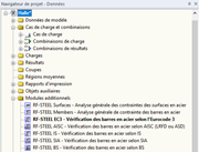 Navigateur Données pour le module additionnel RF-STEEL EC3 avec vue d’ensemble structurée