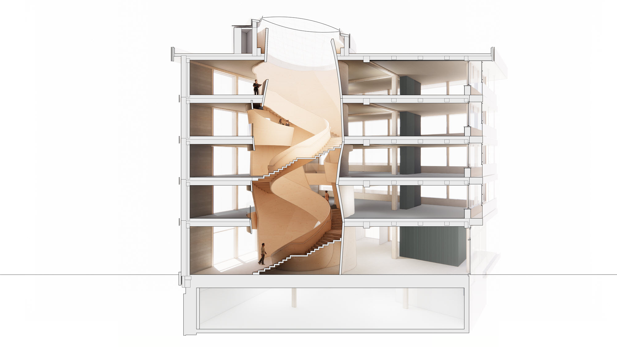 Querschnitt eines Gebäudes zeigt Atrium in der Mitte des Bauwerks, inklusive Innenstruktur und architektonischer Details. (© Blumer-Lehmann AG)