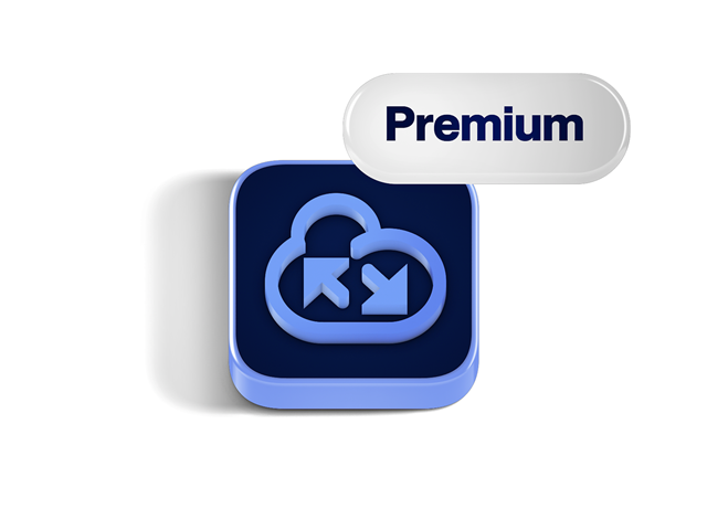 Représentation visuelle des API premium disponibles dans la boutique en ligne, montrant les possibilités d’intégration et d’accès