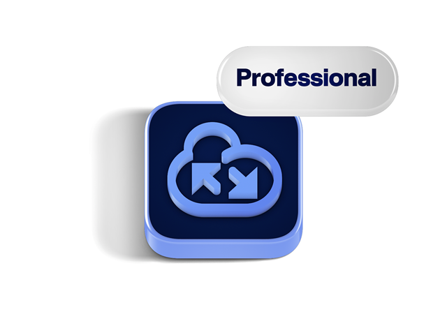 Illustration présentant les fonctionnalités du produit API Professional, mettant en avant les fonctionnalités clés pour les achats en ligne.